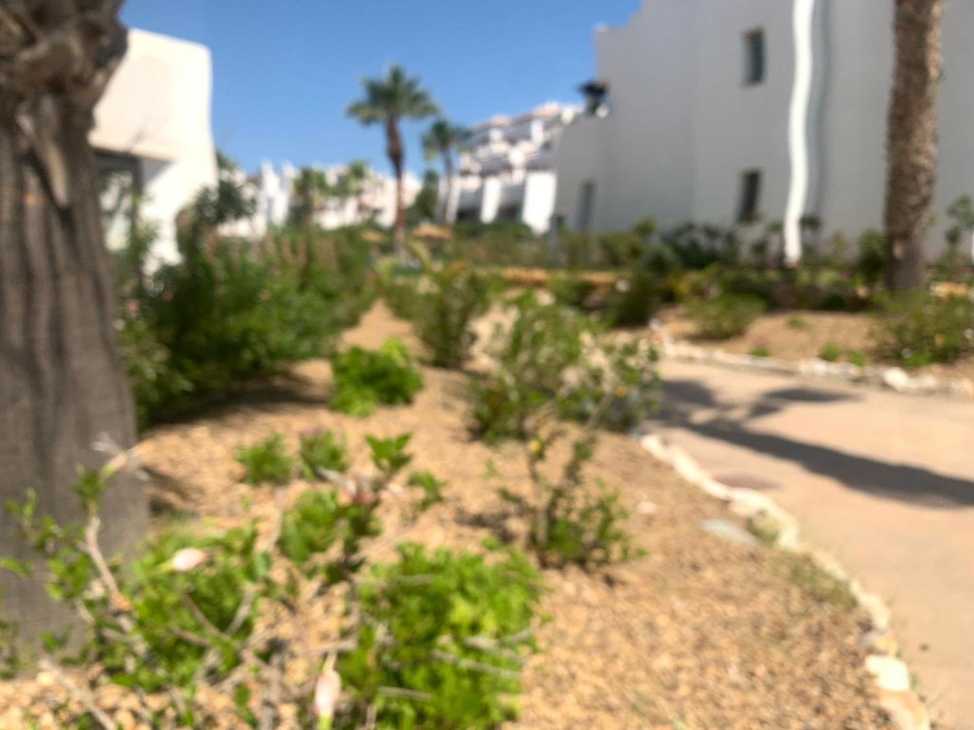 Apartamento Las Salinas 1389 Бера Екстер'єр фото